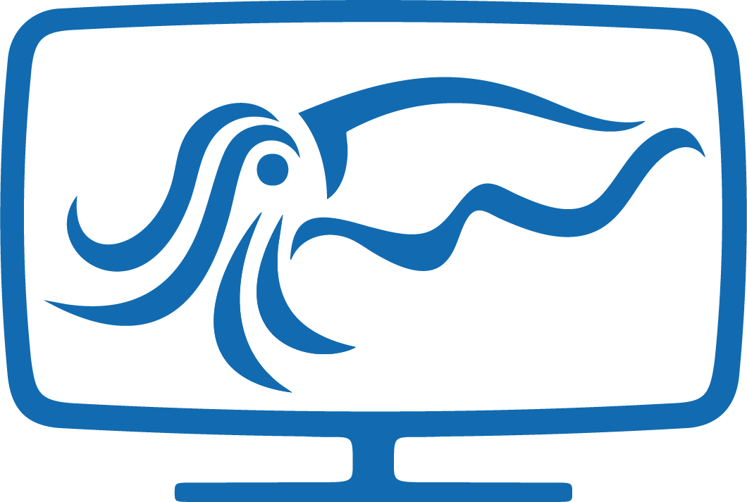 AusOcean logo